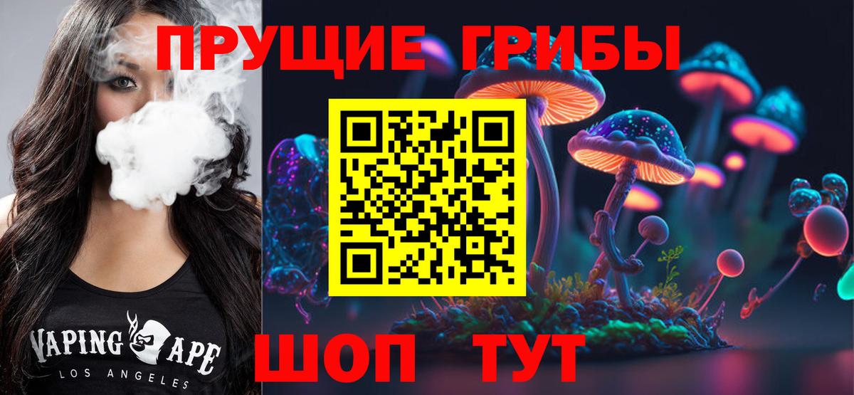 Галлюциногенные грибы GOLDEN TEACHER  Вход с VPN  Семёнов  Псилоцибиновые грибы мицелий 